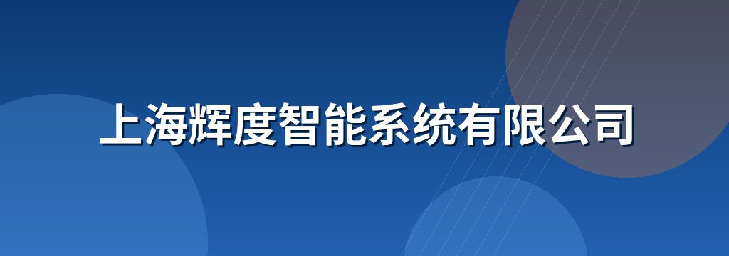 上海辉度智能系统有限公司