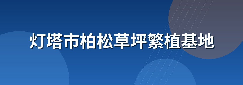灯塔市柏松草坪繁植基地