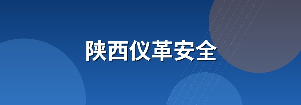 陕西仪革安全
