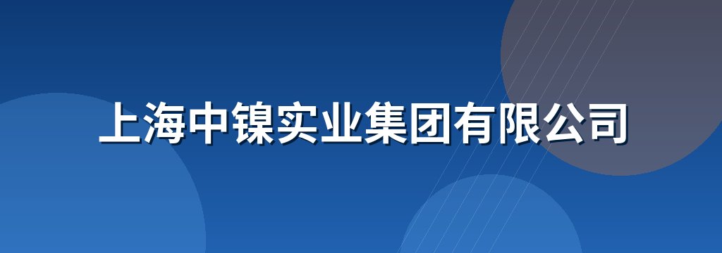 上海中镍实业集团有限公司