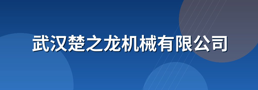武汉楚之龙机械有限公司