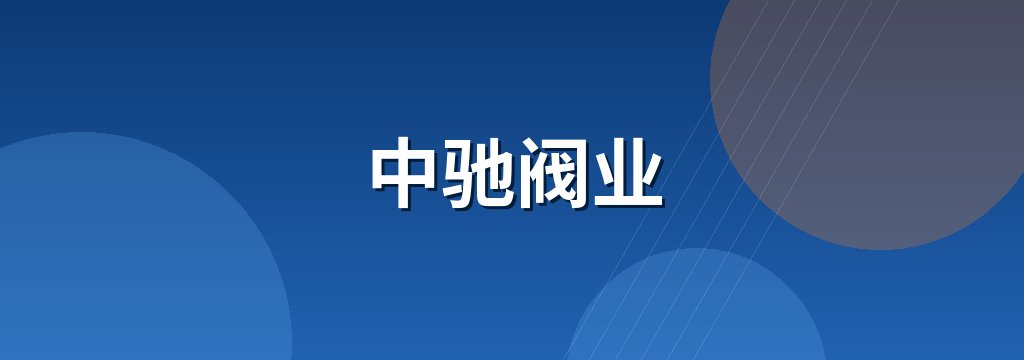 中驰阀业