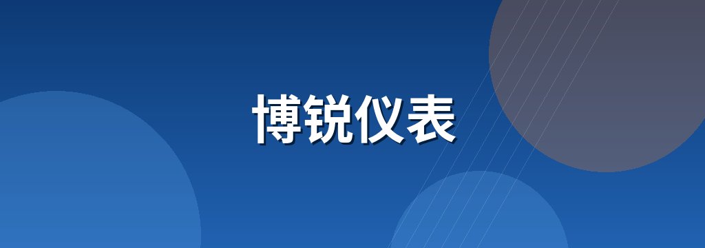 博锐仪表